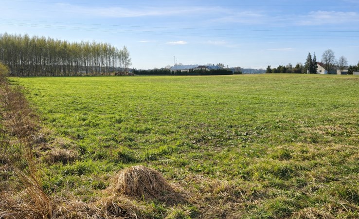 działka na sprzedaż - Dobrcz, Aleksandrowo